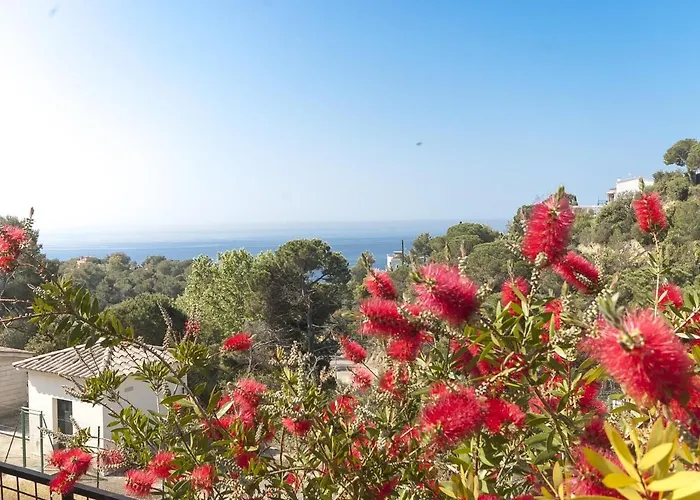 Lets Holidays Luxury House In Cala Llevado 3 Апартаменты